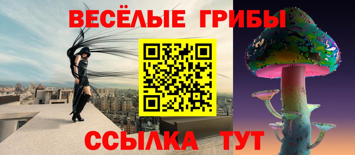 Псилоцибиновые грибы Psilocybe Морозовск