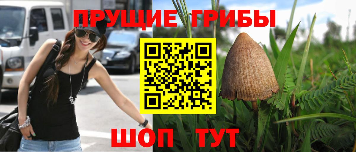 Галлюциногенные грибы Cubensis  Морозовск 